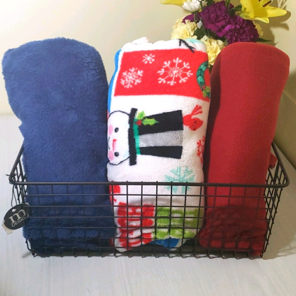 Metal Wire Storage Basket Organizer